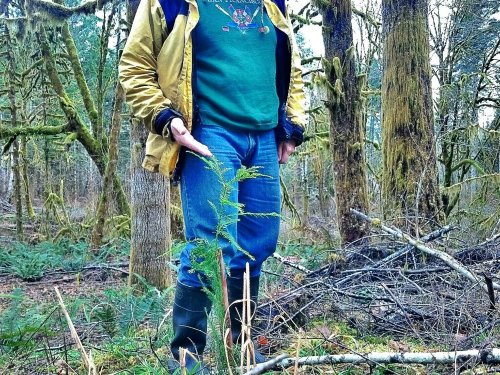 C360_2013-02-09-13-08-33--2045