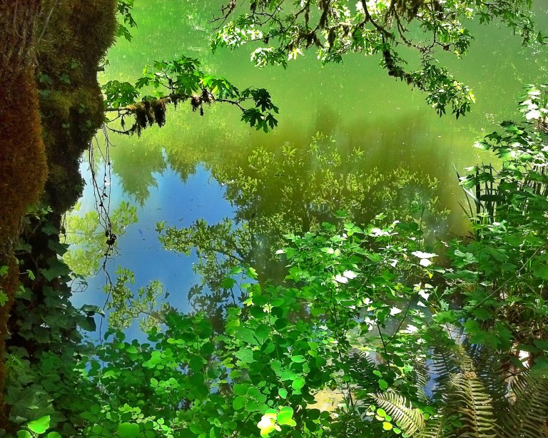 c360 2013 05 03 12 16 32 037